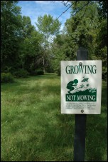 Grow Not Mow
