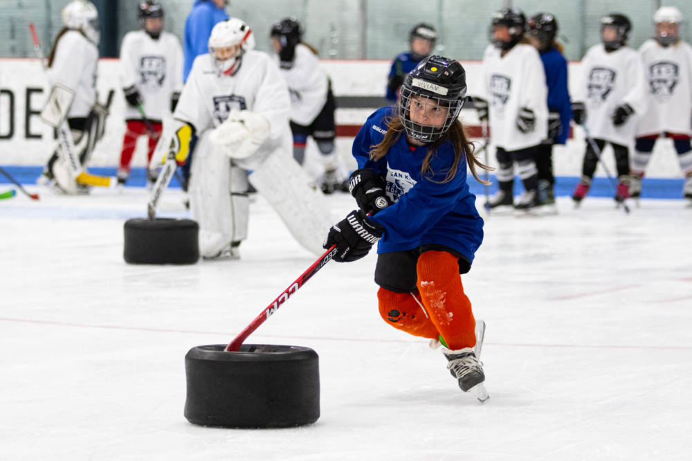 Novi Ice Arena 4