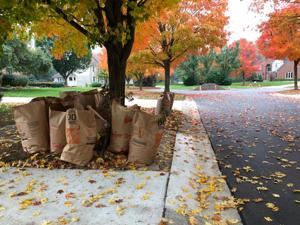 Yard Waste Service