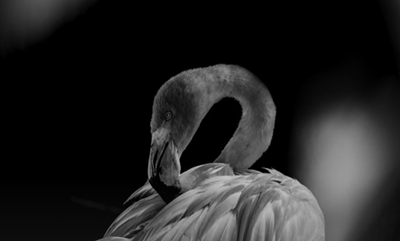 Atrium Art Gallery Exhibit & Reception Dec 11 - Jan 5