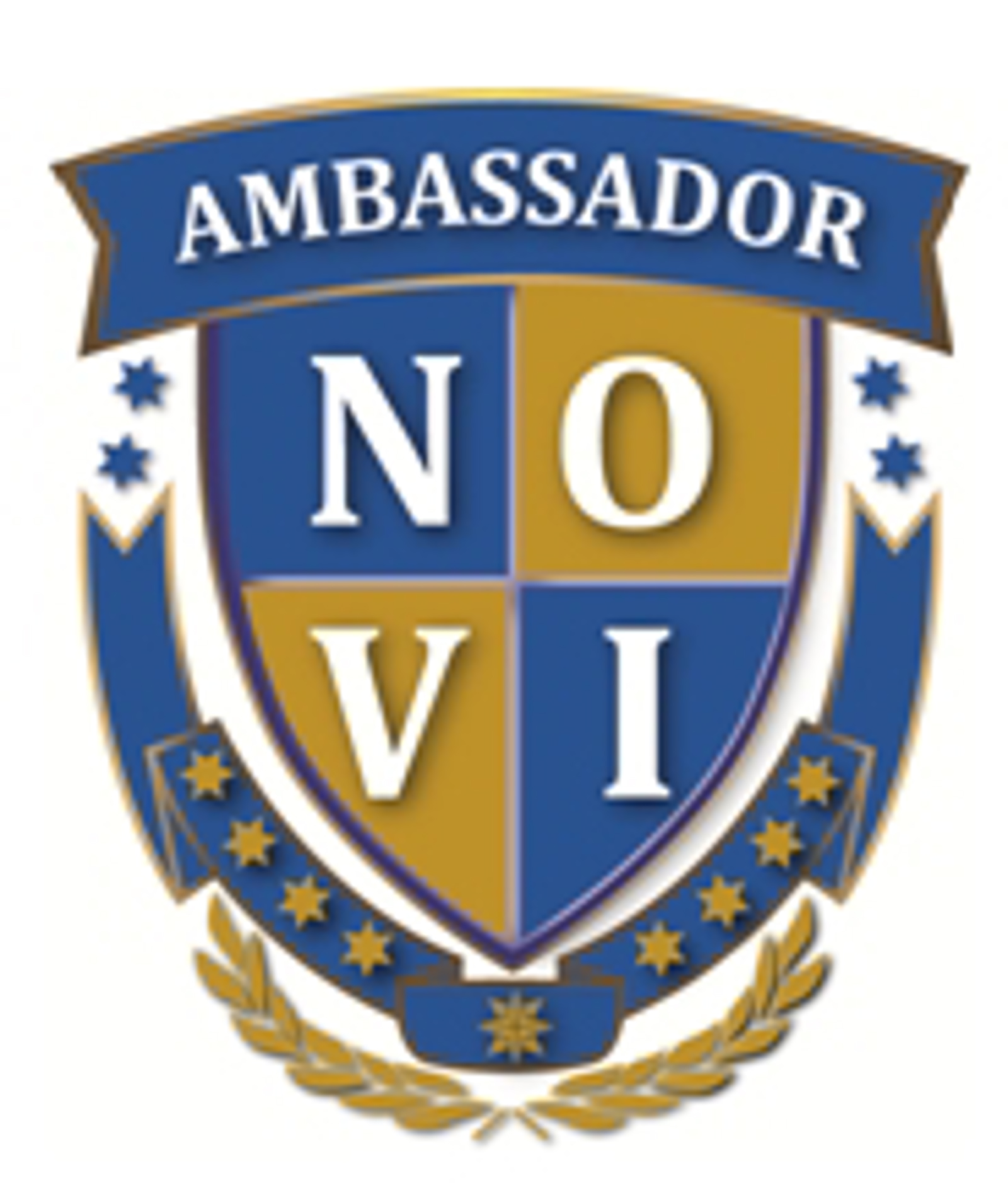 Ambassador Academy