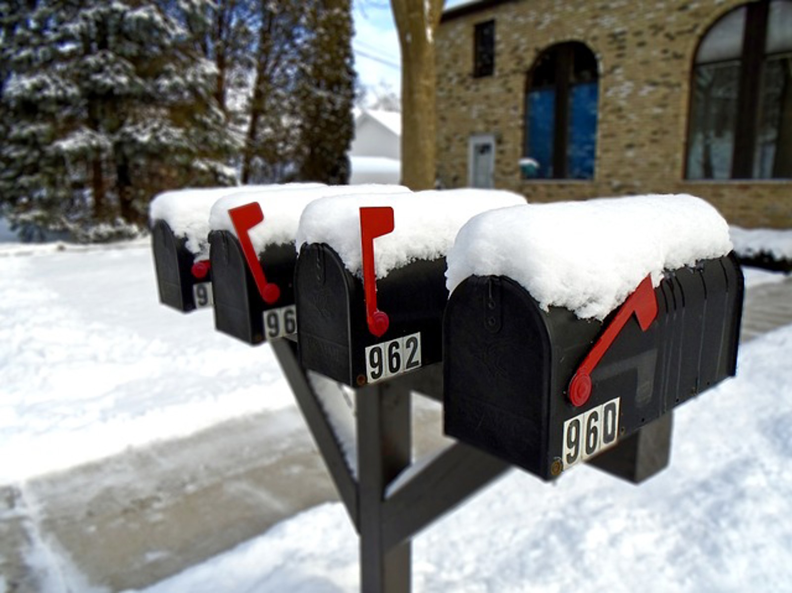 Snow Covered Mailboxes
