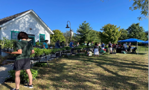Perennial Exchange and Native Plant Giveaway