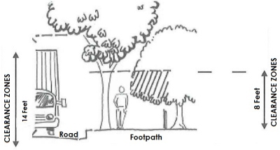 Tree Trimming Graphic